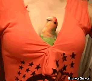 Чур, я в домике