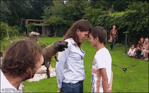 56673e5dcbff8d72df89f8dba0f4a049