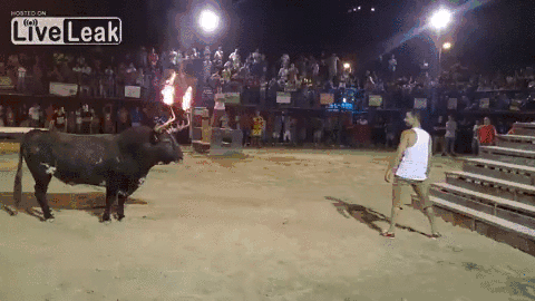 bfa3902bf3048217a916da43da326afb