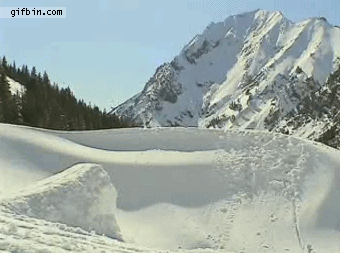 gifs_23