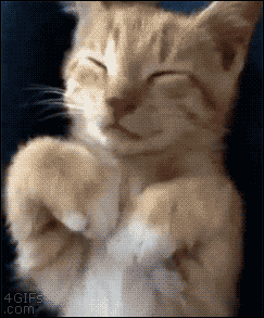 gifs_171