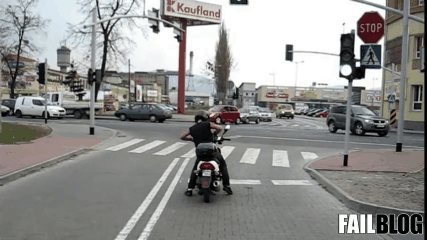 Fungif_11 (1)