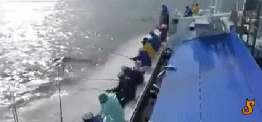 daily_gifdump_947_09