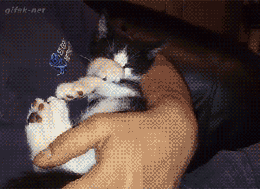 34bbfa4d89794b24b142a616cdb