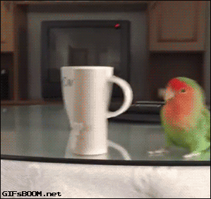 4694fa99a58e35533a22869f1e9