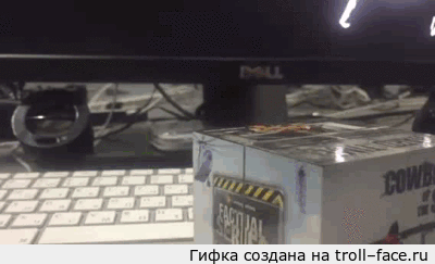 87832db0f277b1fbe5589abd751