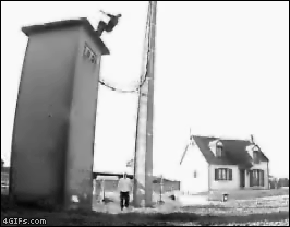 1069005037581_1286527905_12865215