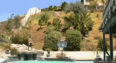 36953034552580_1284282417_38