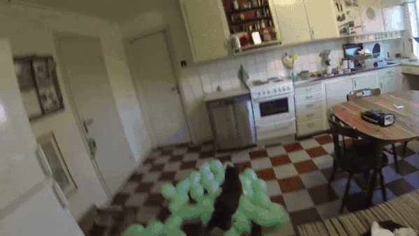 1420619230_gifs_13