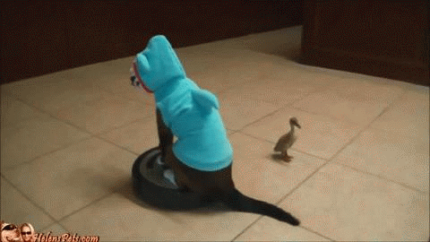 1420619392_gifs_21