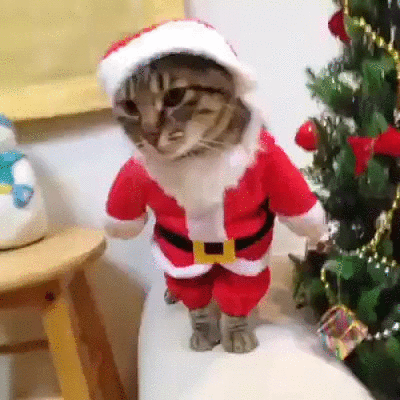 gifs_11