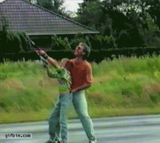 gif_selection_02