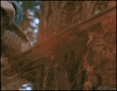 Fungif_22 (2)