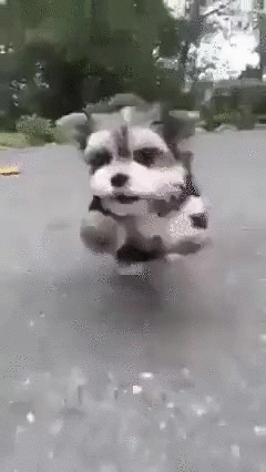 вспышка справа-вспышка слева