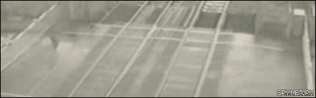 45736699489389_b1c9777ef5