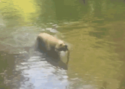 0_267796_e235f983_orig