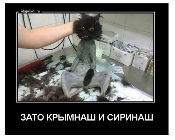 Screenshot_12