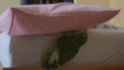 82215258ec167ab26c7a73046c1