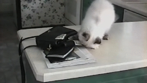 ed1ab6de89d8cdd68f1e54bf97c