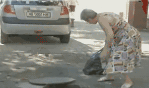 2774596e7b2ee247a39d555ca79