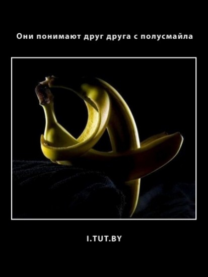 normal_i784985