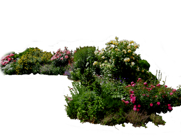 1flowered-1
