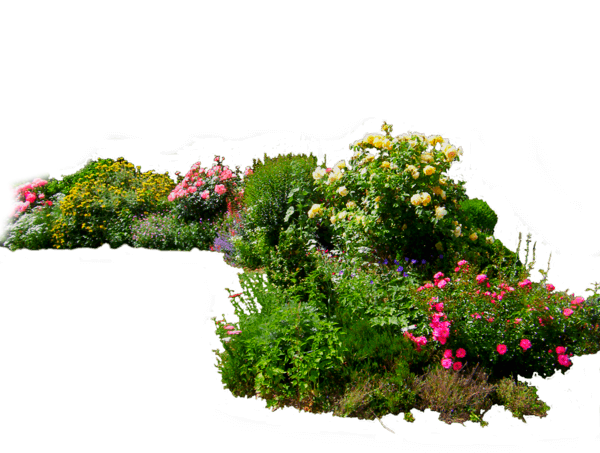 1flowered-1