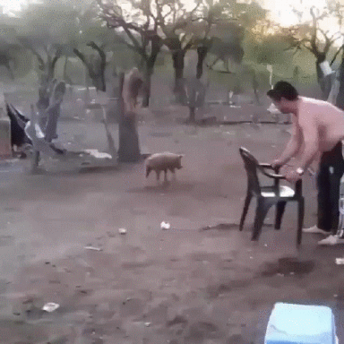 свинка