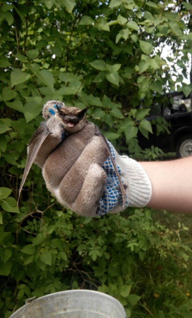 IMG_20150718_102526_1449000349125