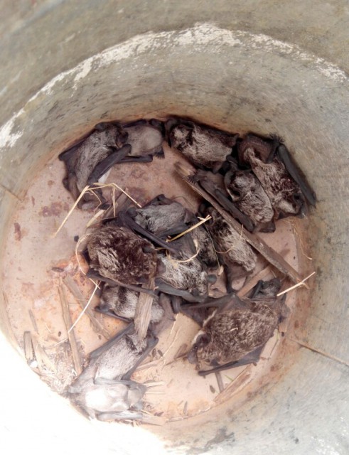 IMG_20150718_102454_1449000283758