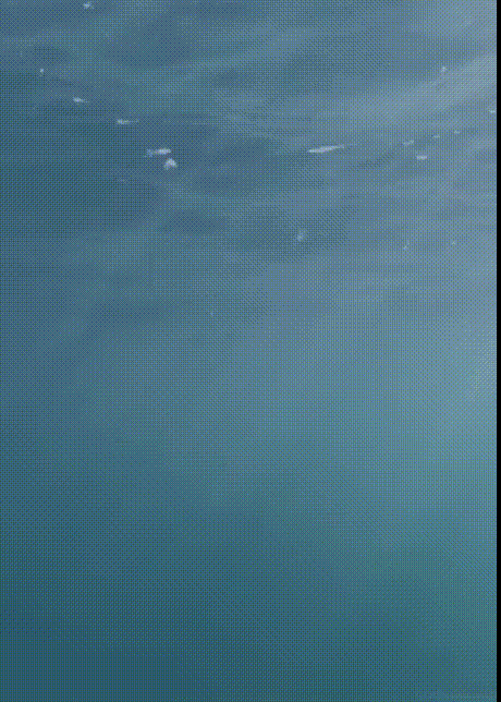 aKBRgyb_460sv