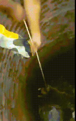 aKBRzbQ_460sv