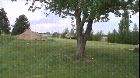 aWOwqQ3_460sv