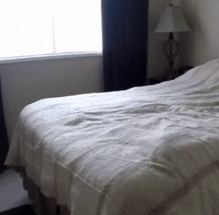 gifs_11