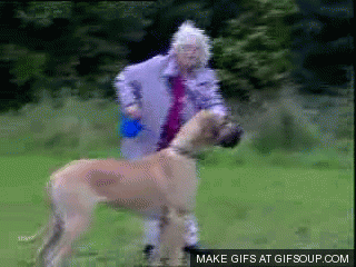 gifs_05