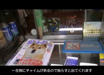 unexpected_gifs_22