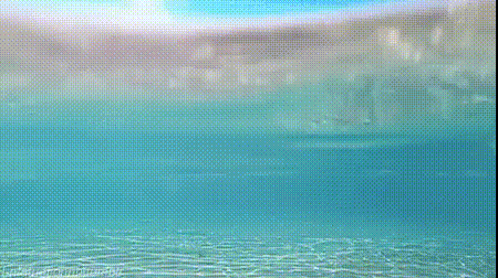 aPGKpAg_460sv