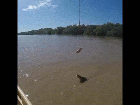 805747edf8c2f5b5aadd5aec2a0