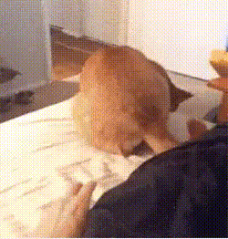 cece239a7bd236cc5cddbebff7b