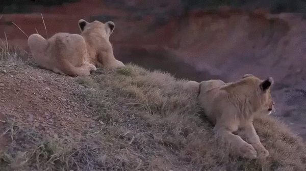 d67b5f1d9c12c60f10777079028