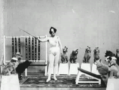 13461714150732_tumblr_lqqagll4va1qaphz7o1_500