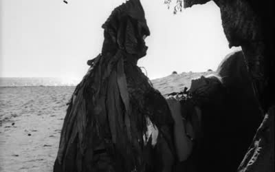 33096290521469_408mos