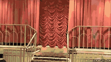 35765134934517_rzhachnye-gif-animacii18