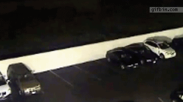 43519528337583_1311493756_7