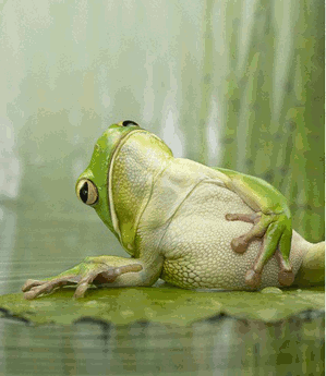 2010_12_22_00_08_898565_1