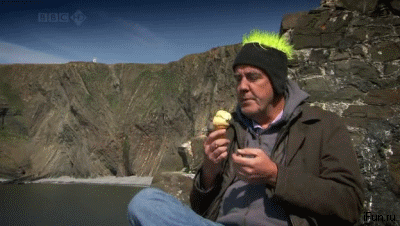 75835113598458_19062012-gifki-gifki-smeshnye-gifki-gifki-kote_6429434041