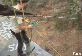 87927604676555_19062012-gifki-gifki-smeshnye-gifki-gifki-kote_4633338981