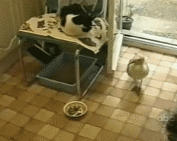 59421979985608_1299416968_35