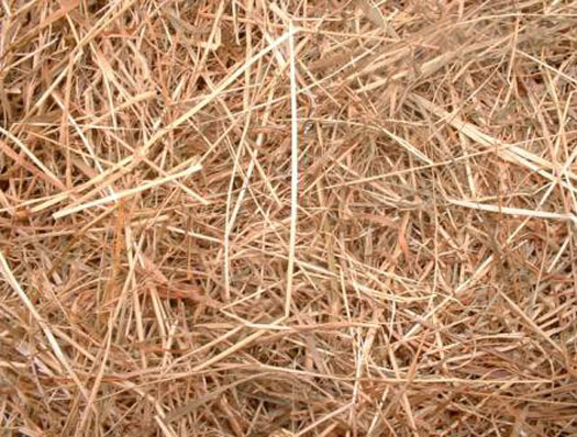 straw-4