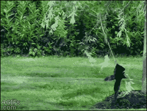 21679889965500_59c94d_orig_